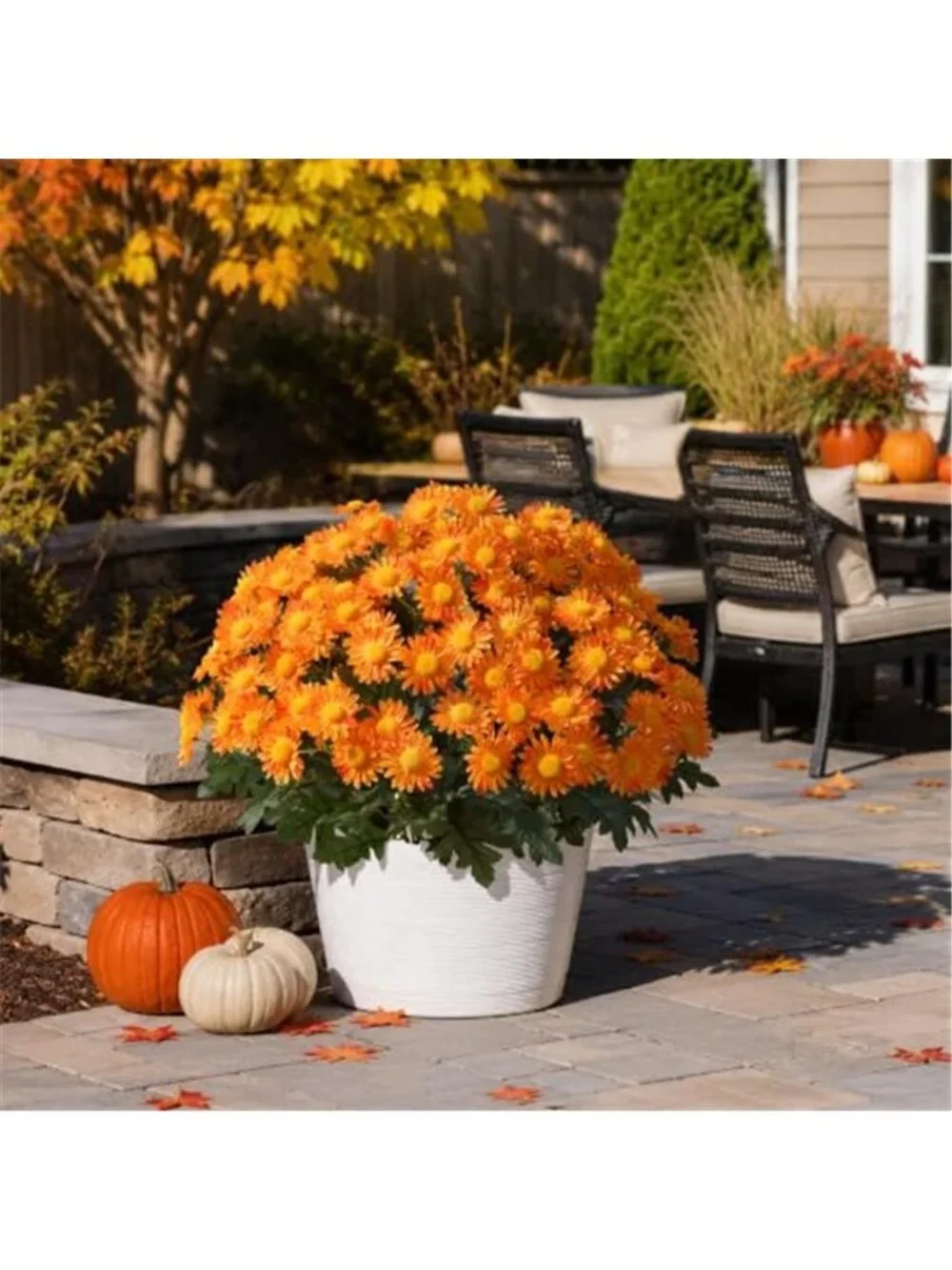 Artificial Fall Fake Mums Flowers Plants for Outdoor Decoration 6 PCS Faux